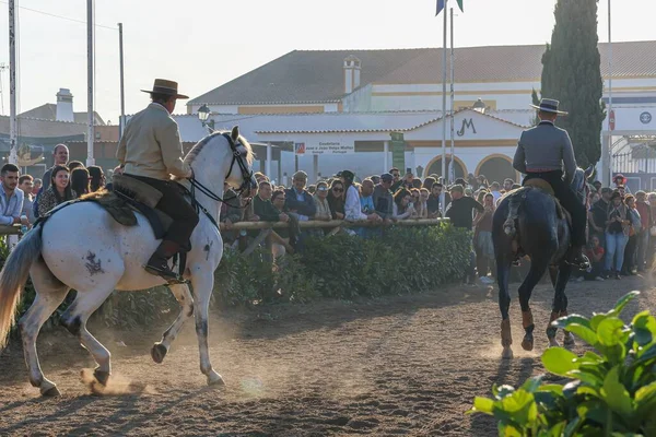 Толпа Наблюдает Двумя Мужчинами Скачущими Лошадях Национальной Лошадиной Ярмарке 2022 — стоковое фото