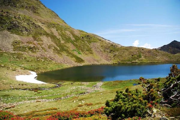 Schöne Aufnahme Eines Sees Umgeben Von Vegetation Und Bergen — Stockfoto