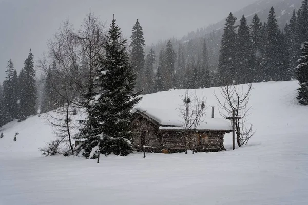 小木屋山谷中的一个小木屋 山上有冷杉林 降雪时被雪覆盖 — 图库照片