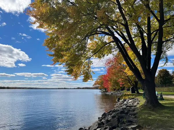 stock image The beautiful view of the autumn trees with colorful foliage on the riverbank.