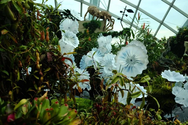 Malownicze Ujęcie Wewnętrznego Ogrodu Egzotycznymi Kwiatami — Zdjęcie stockowe