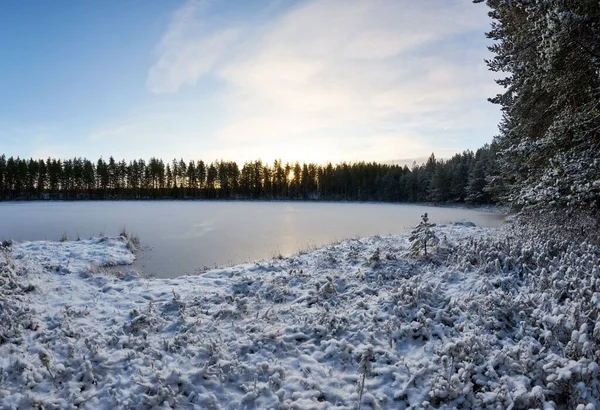 ภาพท สวยงามของทะเลสาบท นหล งของต นไม ในช วงพระอาท ตกในฤด หนาว — ภาพถ่ายสต็อก