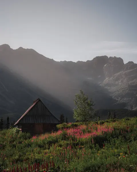 Montagne Des Hautes Tatras Tatry Wysokie Avec Ciel Nuageux — Photo