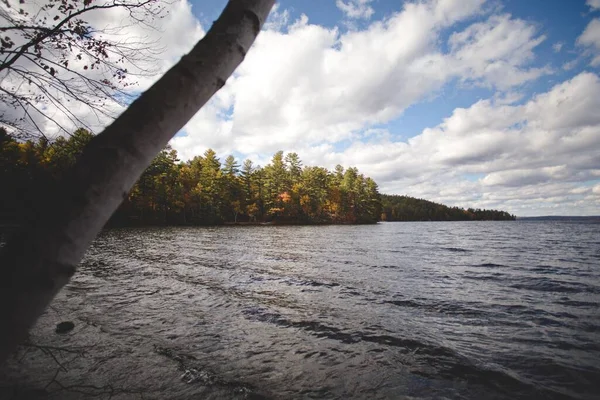 Une Belle Vue Sur Lac Près Forêt Ontario Canada — Photo