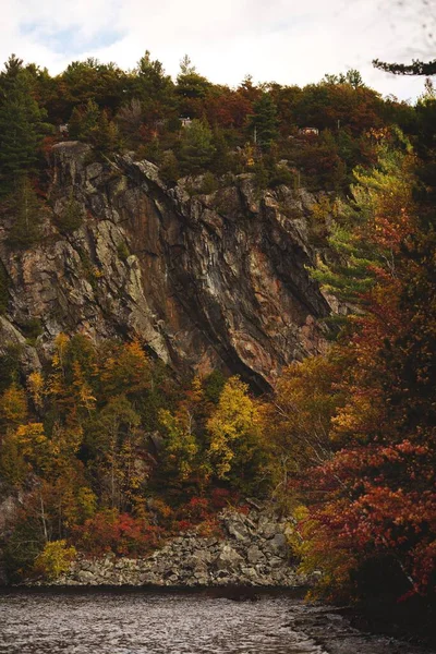 Vertikální Záběr Krásného Jezera Blízkosti Lesa Ontariu Kanada — Stock fotografie