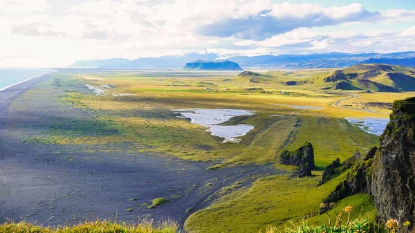 Una Vista Vegetación Orilla Día Soleado Islandia — Foto de Stock