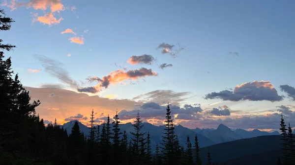 Malowniczy Zachód Słońca Nad Wzgórzami Drzewami Great Divide Trail Kanada — Zdjęcie stockowe