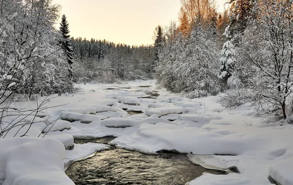 Ένα Παγωμένο Δάσος Ένα Ποτάμι — Φωτογραφία Αρχείου