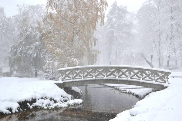 Ein Malerischer Wintergarten Mit Brücke Land Und Schneebedeckten Bäumen Einem — Stockfoto
