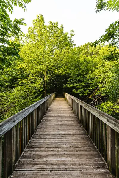 Вертикальный Снимок Деревянного Моста Ведущего Зеленым Летним Деревьям Небом — стоковое фото