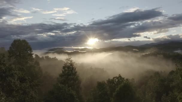 Une Vue Drone Une Belle Forêt Gatlinburg Usa — Video