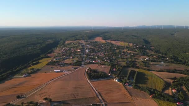 Aerial View Rural Area Surrounded Agricultural Fields Forest Wind Turbines — Stock Video