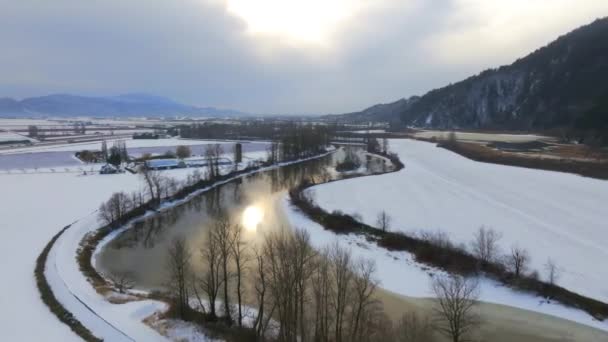 Dron Dekoracje Gołych Drzew Śnieżnym Brzegu Sumas River Kolumbii Brytyjskiej — Wideo stockowe
