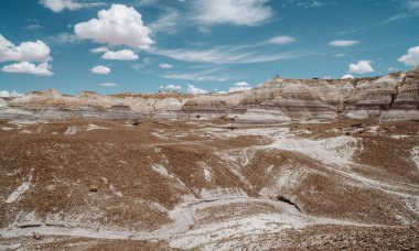 Petrified Forest Ulusal Parkı, Arizona, ABD 'deki Çorak Topraklar' ın güzel bir görüntüsü.