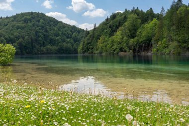 Plitvice Gölleri Ulusal Parkı 'nda güzel bir göl manzarası, taze bitki örtüsü ve dağ.