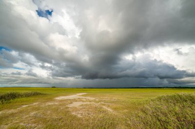 Yeşil bir tarlanın üzerindeki bulutların manzarası
