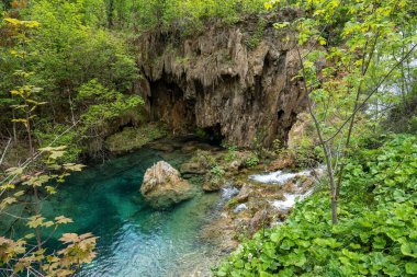 Güzel bir şelale manzarası ve Plitvice Gölleri Ulusal Parkı 'nda bitki örtüsü olan bir göl.