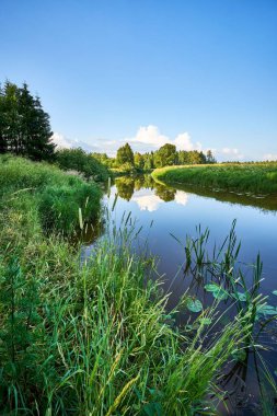 Ağaçlarla çevrili tarlalar arasında akan nehrin dikey görüntüsü.