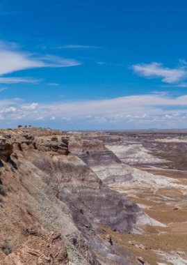 ABD 'nin Arizona eyaletindeki Petrified Forest Ulusal Parkı' ndaki Çorak Topraklar manzaralarının dikey bir görüntüsü.