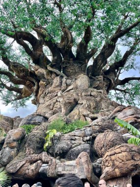 Hayvan Krallığındaki Yaşam Ağacı 'nın geniş açılı görüntüsü.