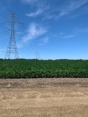 Yüksek voltaj kulesi ve mavi bulutlu gökyüzü olan yeşil bir tarım arazisi.
