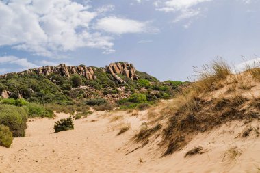 Tunus 'ta kumlu bir sahilde kayalık kayalık oluşumlar ve yeşil ağaçların güzel bir görüntüsü.