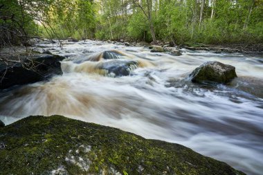 Yeşil ormanın içinden akan bir nehir