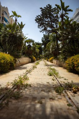 Yeşillik ve binalarla çevrili asfalt bir yolun manzaralı dikey görüntüsü.