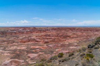 ABD 'nin AZ kentindeki Petrified Forest Ulusal Parkı' ndan kurak bir manzara