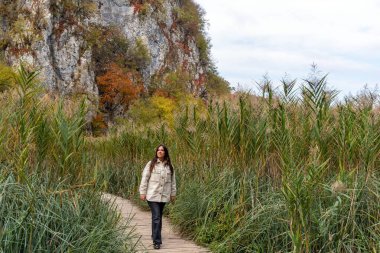 Hırvatistan 'ın Plitvice Lakes Ulusal Parkı' nda sazlıklarla çevrili ahşap bir yolda yürüyen genç bir dişi.