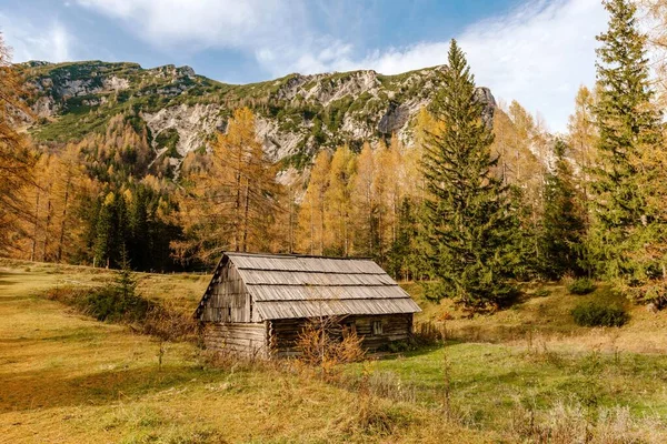 Idyllic Landscape Wooden Hut Surrounded Orange Larches Mountains Vrsic Mountain — Stock Photo, Image