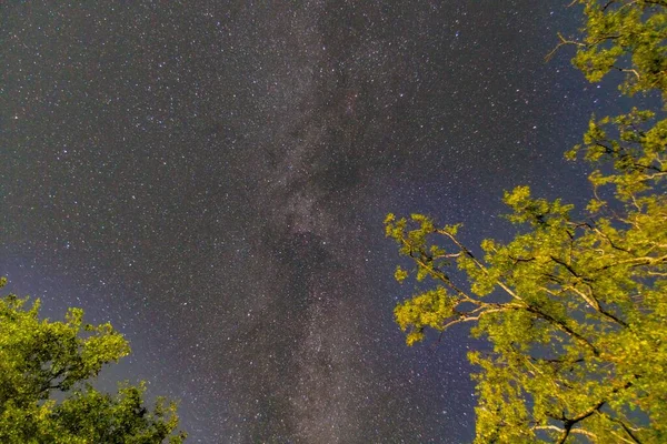 Der Niedrige Winkel Des Sternenhimmels Mit Braunen Wolken Über Grünen — Stockfoto