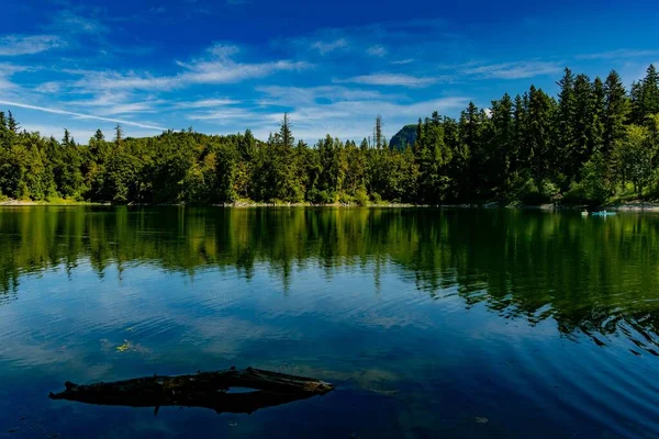 阳光明媚的日子里 湖面上的树木映衬着湖面 风景如画 — 图库照片