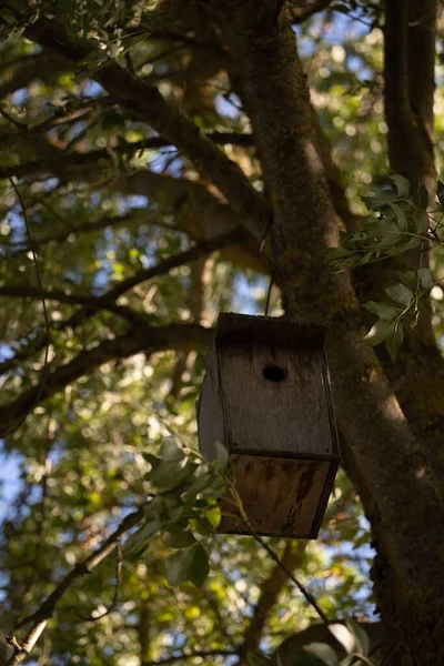 Vertikální Detailní Záběr Staré Dřevěné Ptačí Budky Stromě Parku Slunečného — Stock fotografie
