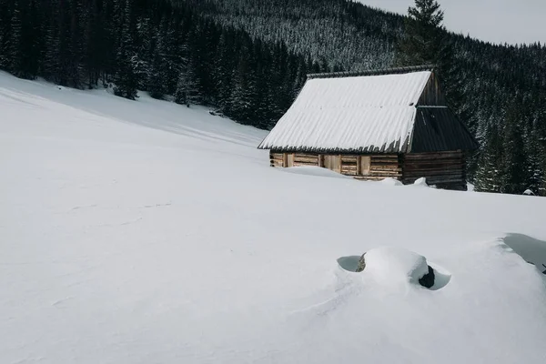 Una Casa Contra Bosque Nevado Día Soleado Capa Gruesa Nieve —  Fotos de Stock