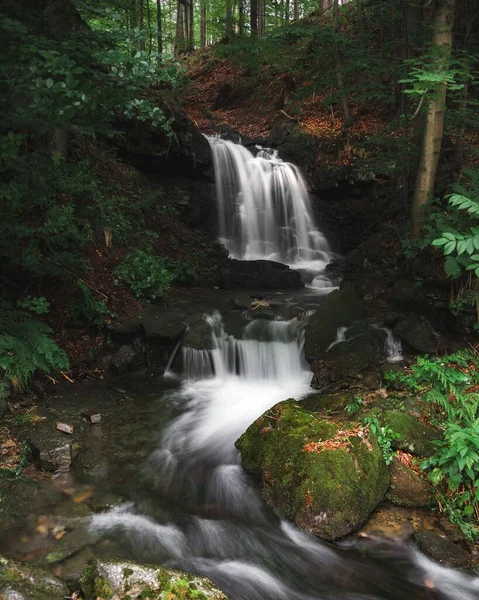 秋の森を流れる川を作る滝の垂直閉鎖 長時間露光効果 — ストック写真