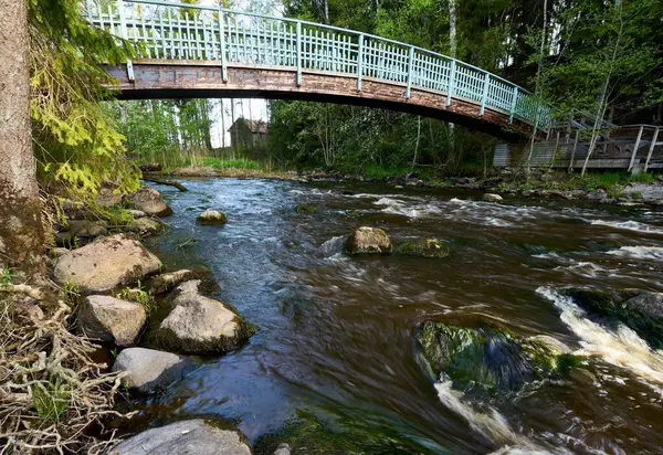 Bridge River Forest — Stock Photo, Image