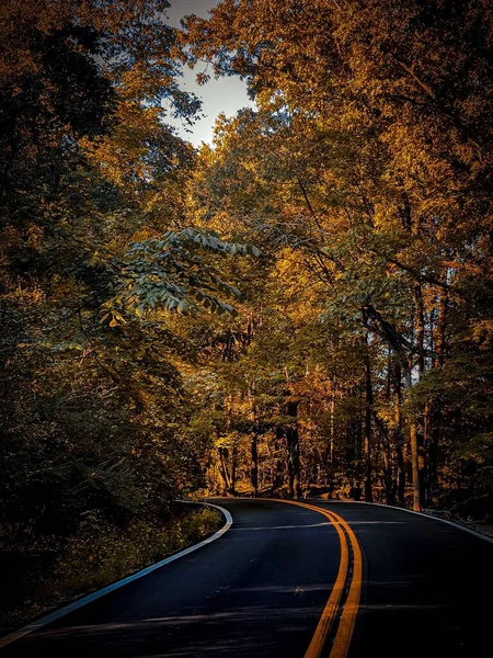 Вертикальный Вид Пустой Дороги Окруженной Осенними Деревьями Мемфисе Теннесси Сша — стоковое фото