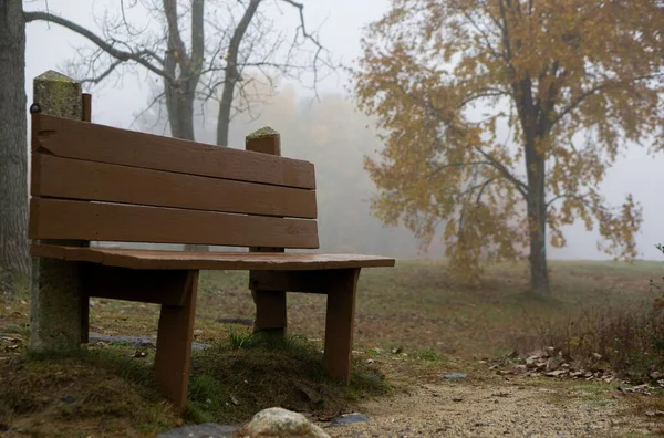 霧の日に森の中の空の木のベンチ — ストック写真