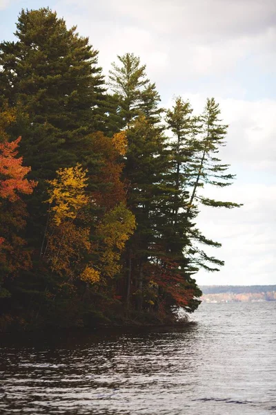Tiro Vertical Belo Lago Perto Floresta Ontário Canadá — Fotografia de Stock