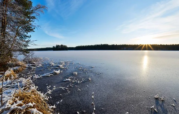 Красивый Снимок Озера Фоне Деревьев Время Заката Зимой — стоковое фото