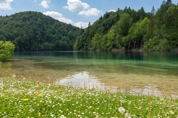 Beautiful Scenery Lake Fresh Vegetation Mountain Plitvice Lakes National Park — Stock Photo, Image