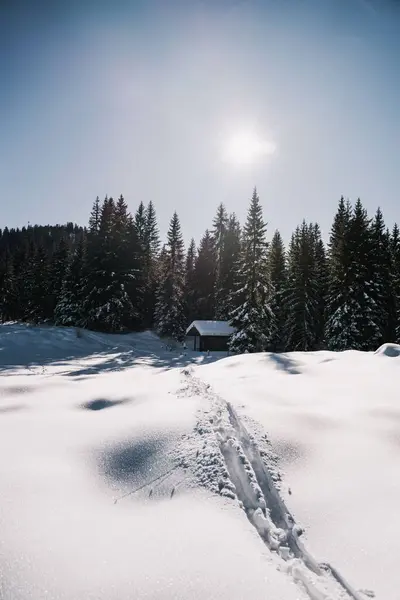 Karlı Bir Kış Gününde Kır Evinin Doğadaki Dikey Görüntüsü — Stok fotoğraf