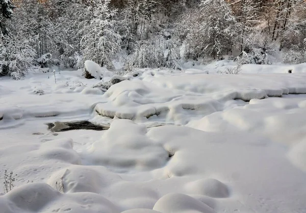 Primer Plano Dunas Nieve Río Congelado Bosque Durante Invierno —  Fotos de Stock