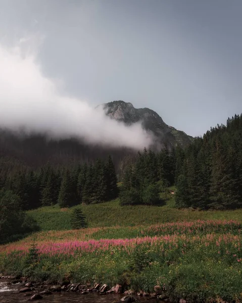 Vysoké Tatry Tatry Wysokie Hora Oblačným Nebem Pozadí — Stock fotografie