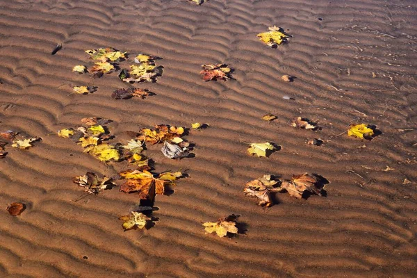 Abstract Wavy Effect Sandy Bottom Water Movement Sunny Reflections Beautiful — Stock Photo, Image