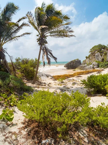 Vista Praia Tulum Ruins — Fotografia de Stock