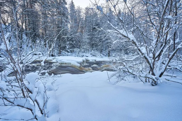 Ένα Χειμερινό Τοπίο Ποτάμι Που Ρέει Μέσα Από Χιονισμένο Δάσος — Φωτογραφία Αρχείου