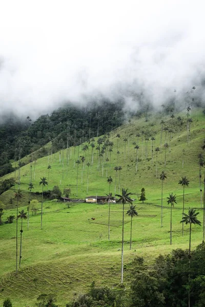 Vertical Aerial View Rural Green Cocora Valley Misty Clouds Colombia — Stock Photo, Image