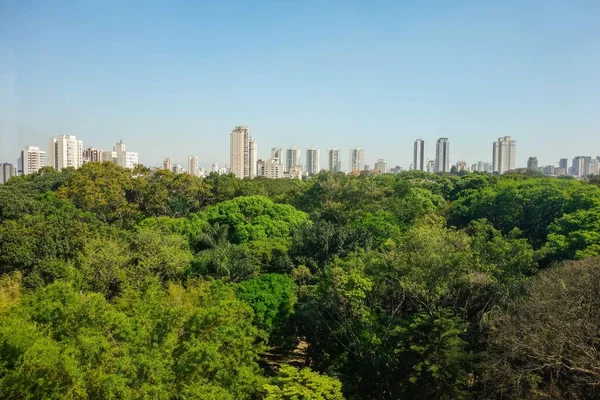 Flygfoto Över Sao Paulo Stadsbild Skyskrapor Invaderar Skogen — Stockfoto